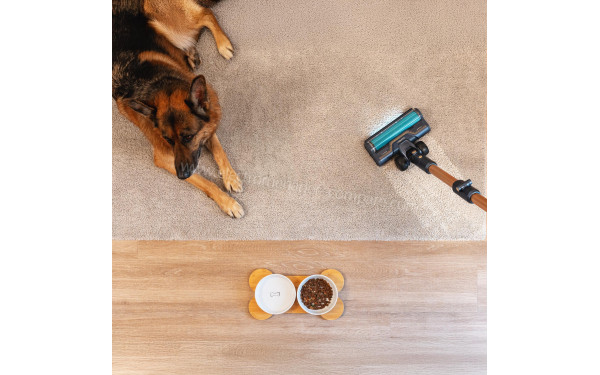 CECOTEC Conga Rockstar RX70 AquaPet Flex - Mise en situation