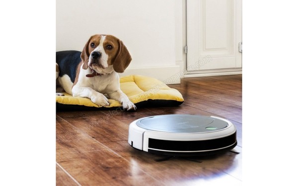 CECOTEC Conga Slim 890 - Aspiration des poils d'animaux