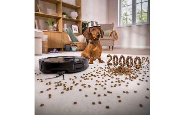 CECOTEC Conga X80 Pro - Puissance d'aspiration