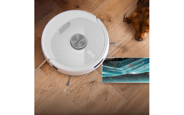 CECOTEC Conga Y80 Pearl - Mise en situation