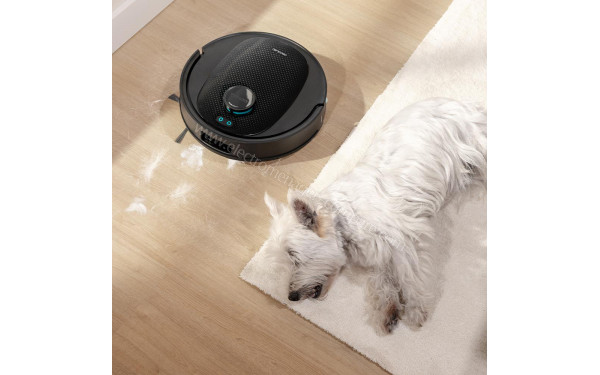 CECOTEC Conga Y80 X-Treme - Mise en situation