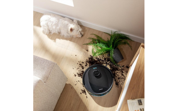 CECOTEC Conga Y80 - Mise en situation