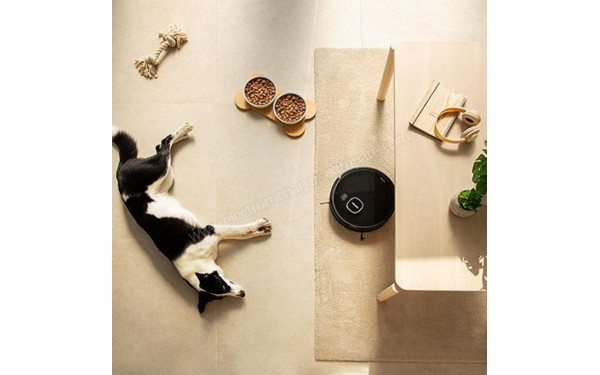 CECOTEC Conga Eternal Pet Titanium - Mise en situation