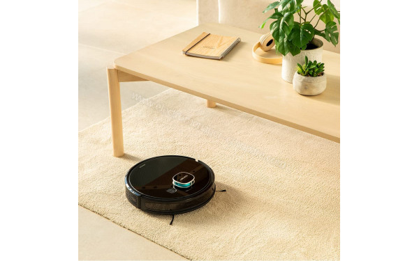 CECOTEC Conga Eternal Pet Vital - Mise en situation