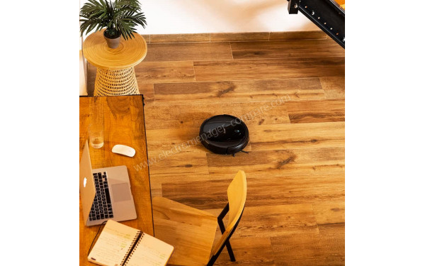 CECOTEC Conga Flash Connected Vital - Mise en situation