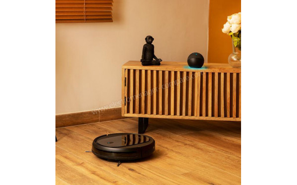 CECOTEC Conga Perfect&Clean Connected Vital - Mise en situation