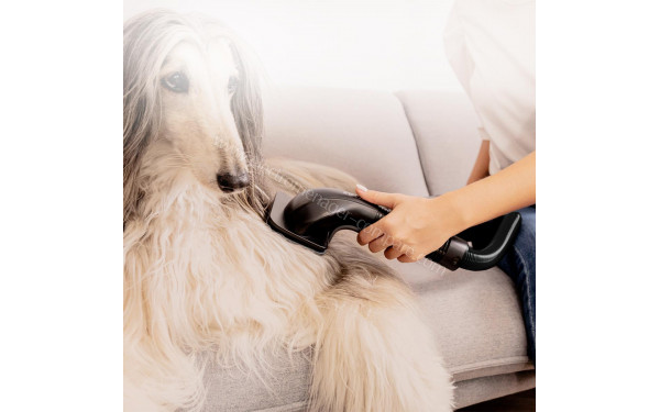 CECOTEC Conga Rockstar 5500 Hurricane Station Pet Flex - Mise en situation