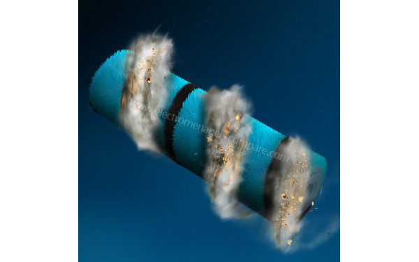 CECOTEC Conga Rockstar 1500 Ray Ergowet Animal - Brosse Jalisco