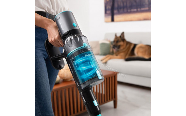 CECOTEC Conga Rockstar 2500 Thunder Flex Animal - Mise en situation