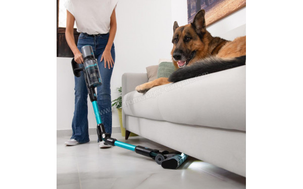 CECOTEC Conga Rockstar 2500 Thunder Flex Animal - Mise en situation