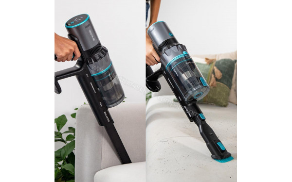 CECOTEC Conga Rockstar 2500 Thunder Flex Animal - Mise en situation