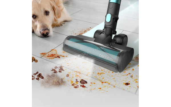 CECOTEC Conga Rockstar 2500 Thunder Pet Flex - Mise en situation