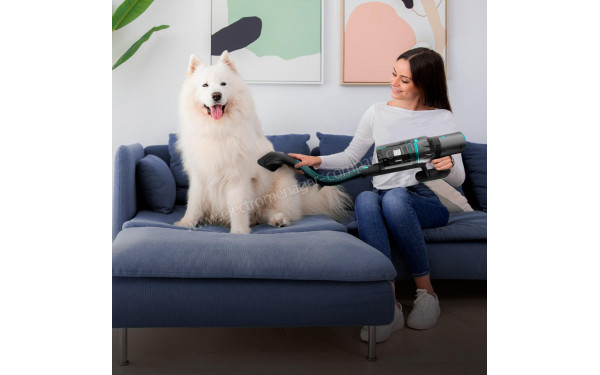 CECOTEC Conga Rockstar 2500 Thunder Pet Flex - Brosse pour animaux