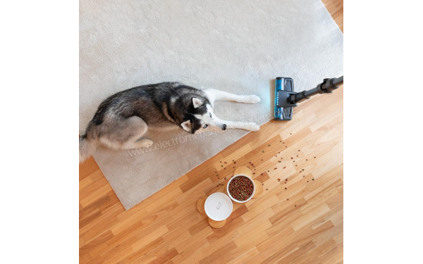 CECOTEC Conga Rockstar 3000 Advance Ergowet - Mise en situation