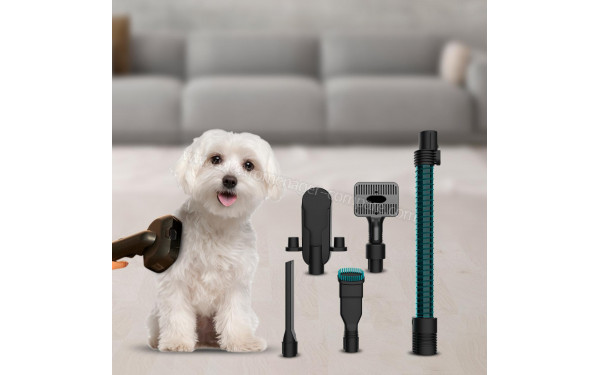 CECOTEC Conga Rockstar 5500 Hurricane ErgoTwice Animal - Mise en situation