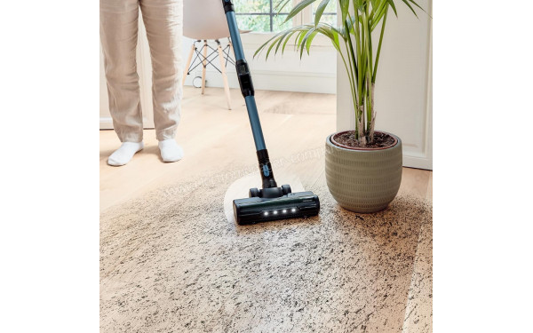 CECOTEC Conga Rockstar 6500 Century ErgoWet Animal - Mise en situation