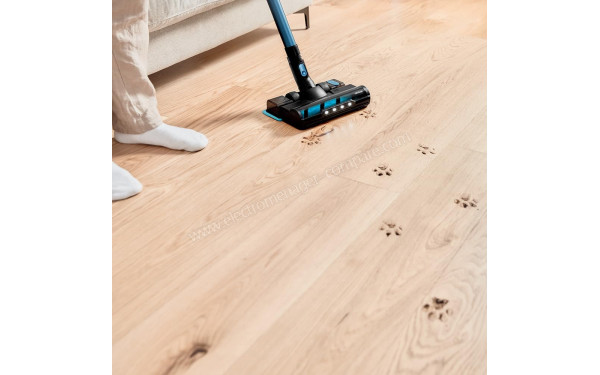 CECOTEC Conga Rockstar 6500 Century ErgoWet Animal - Mise en situation