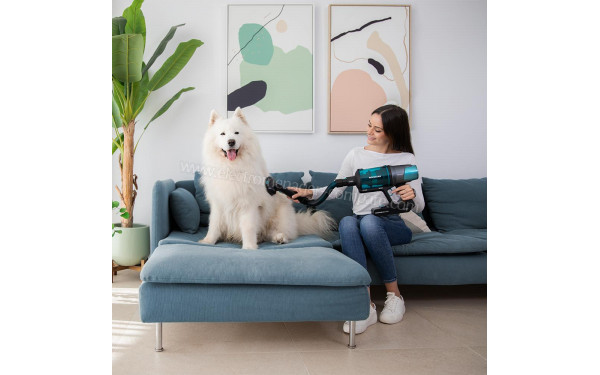 CECOTEC Conga Rockstar 7500 Astral Jaliscazo Animal - Mise en situation