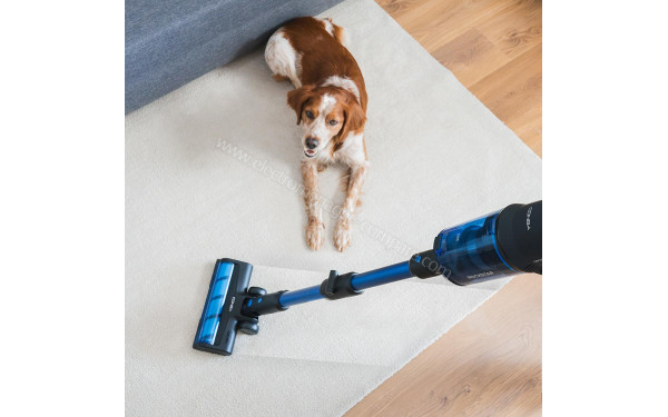 CECOTEC Conga Rockstar 8500 Infinity ErgoWet Animal - Mise en situation