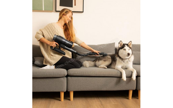 CECOTEC Conga RockStar Deepclean Animal - Mise en situation