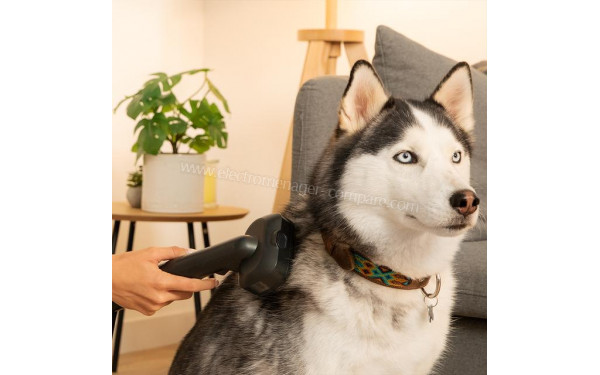 CECOTEC Conga RockStar Deepclean Animal - Mise en situation