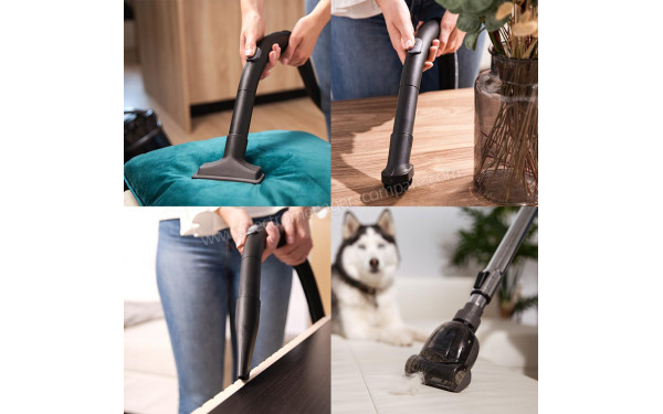 CECOTEC Conga Rockstar Multicyclonic XL Animal - Vue des brosses et suceurs