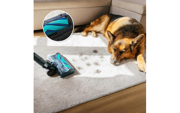 CECOTEC Conga Rockstar RS90 Pet Flex Detect - Mise en situation