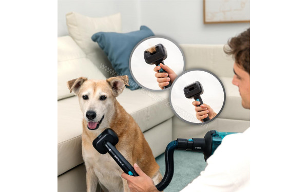 CECOTEC Conga Rockstar RX50 Pet Flex Genesis - Mise en situation