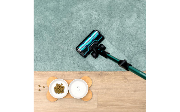 CECOTEC Conga Rockstar RX50 Pet Flex Genesis - Mise en situation