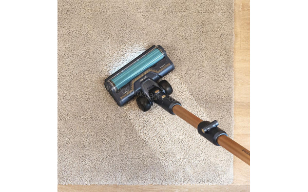 CECOTEC Conga Rockstar RX70 AquaPet Flex X-Treme - Mise en situation