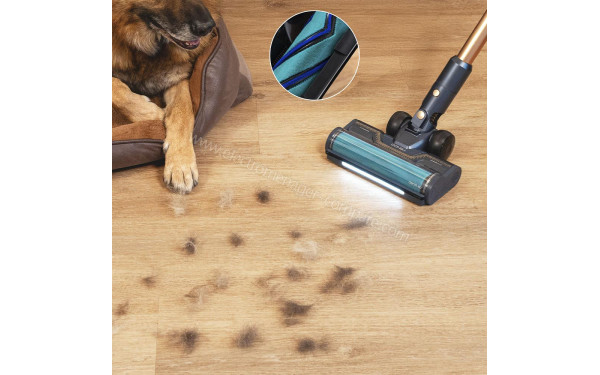 CECOTEC Conga Rockstar RX70 AquaPet Flex X-Treme - Mise en situation