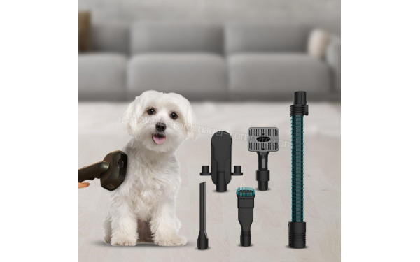 CECOTEC Conga Rockstar 3500 Storm ErgoTwice Animal - Mise en situation