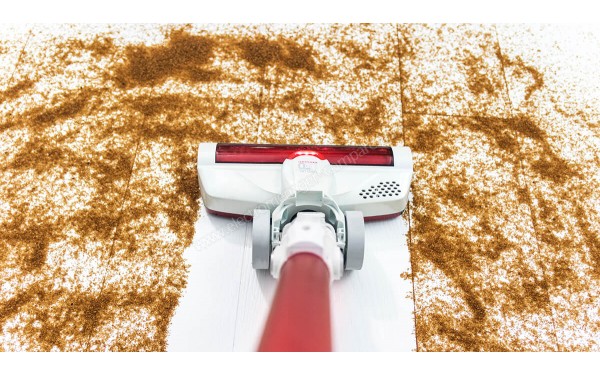 CECOTEC Conga ThunderBrush 620 Immortal Battery 22.2V - Mise en situation