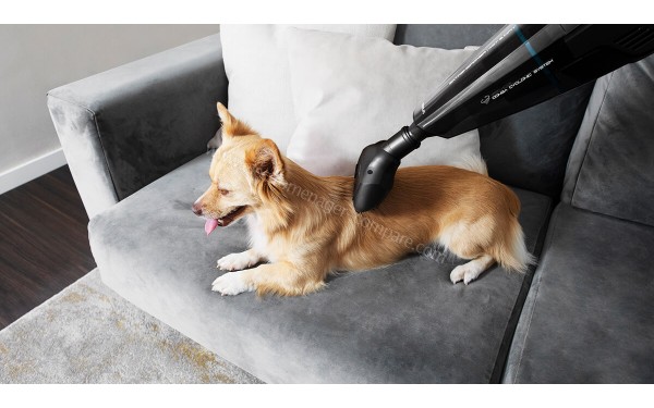 CECOTEC Conga Immortal ExtremeSuction 22.2V Animal Hand - Mise en situation