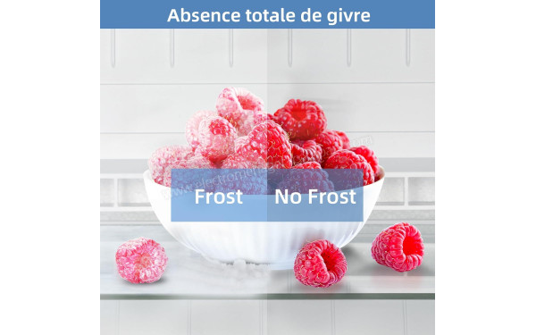 CHIQ CBM250NEBD - Technologie No Frost