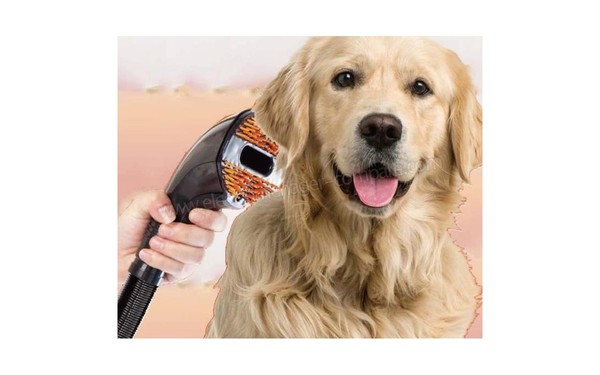 CONTINENTAL EDISON CEVCPET Gris et Rouge - Vue de la brosse pour animal