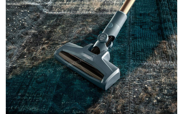 DELONGHI XLM403.GDC - Vue de la brosse principale