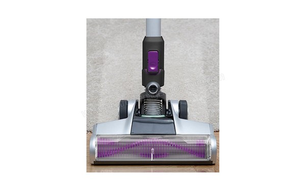 DIRT DEVIL DD777-3 Blade 32V Total - Vue de la brosse sp&eacute;ciale animale