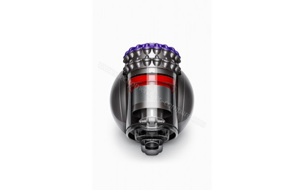 DYSON Big Ball Absolute 2 - Vue du dessus corps seul