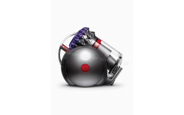 DYSON Big Ball Absolute 2 - Vue de profil corps seul