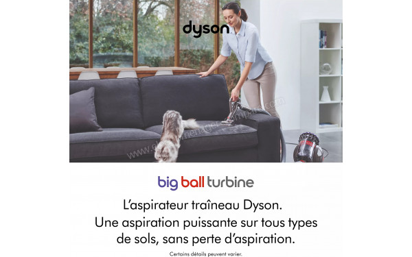 DYSON Big Ball Turbine - Mise en situation