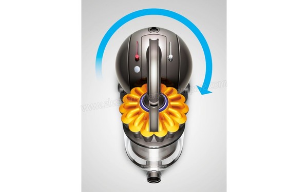 DYSON DC33C Allergy Import - Vue du dessus corps seul