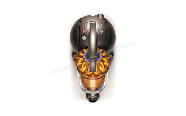 DYSON DC33C Allergy Musclehead - Vue du dessus