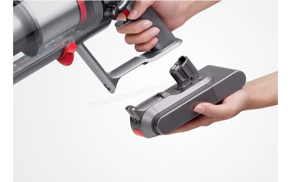 DYSON V11 Absolute Extra - Batterie amovible
