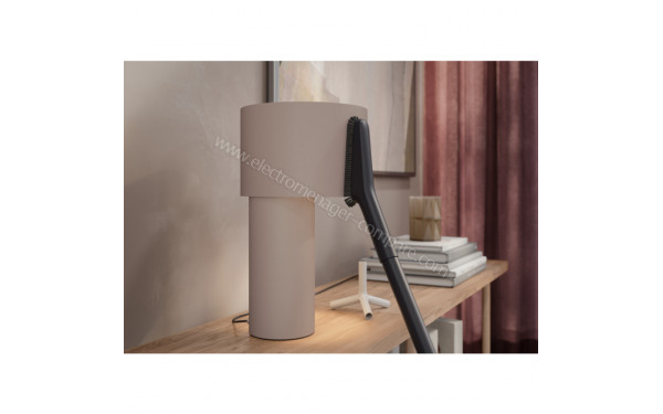 ELECTROLUX EB61H6SW - Brosse