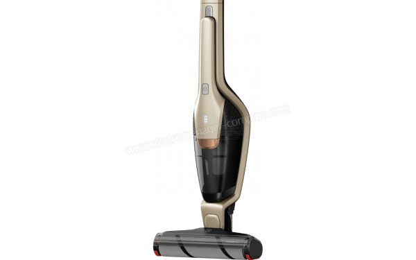 ELECTROLUX EER85SSM - Vue de la brosse et de l'aspirateur &agrave; main