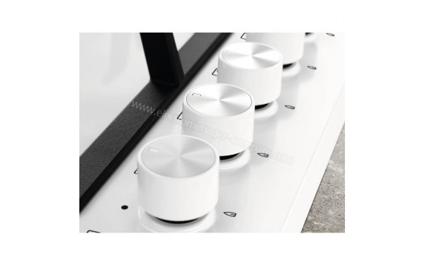 ELECTROLUX EGS6436WW - Vue des programmes