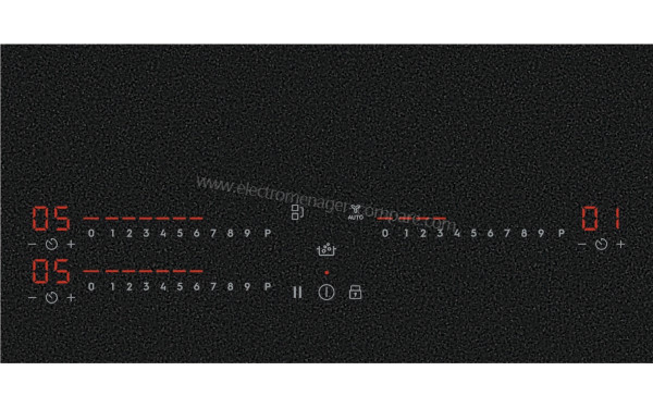 ELECTROLUX EIS62356IZ - Vue des programmes