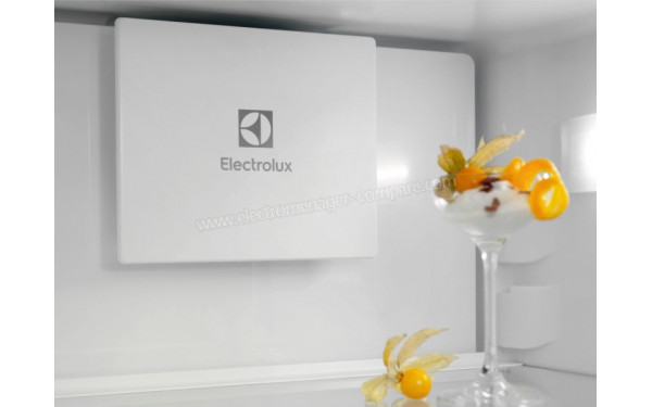 ELECTROLUX ENT6ME19S4 - Ventilateur