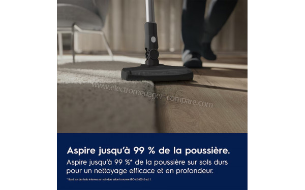 ELECTROLUX EP31CB21GP - Jusqu'&agrave; 99% de poussi&egrave;res ramass&eacute;es &agrave; chaque passage